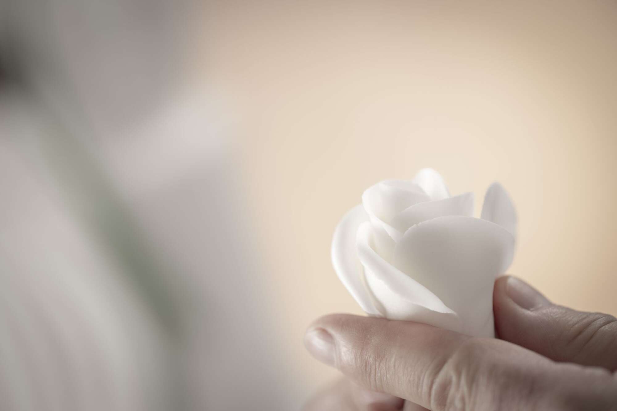 Team Chefs, Technical & Sales