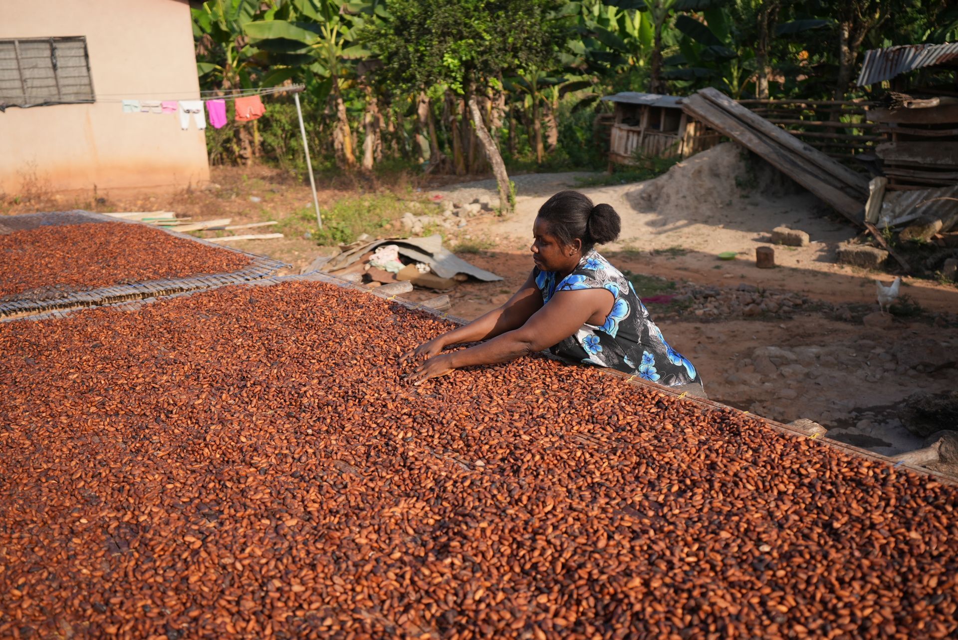 Health as the Foundation for Sustainable Development