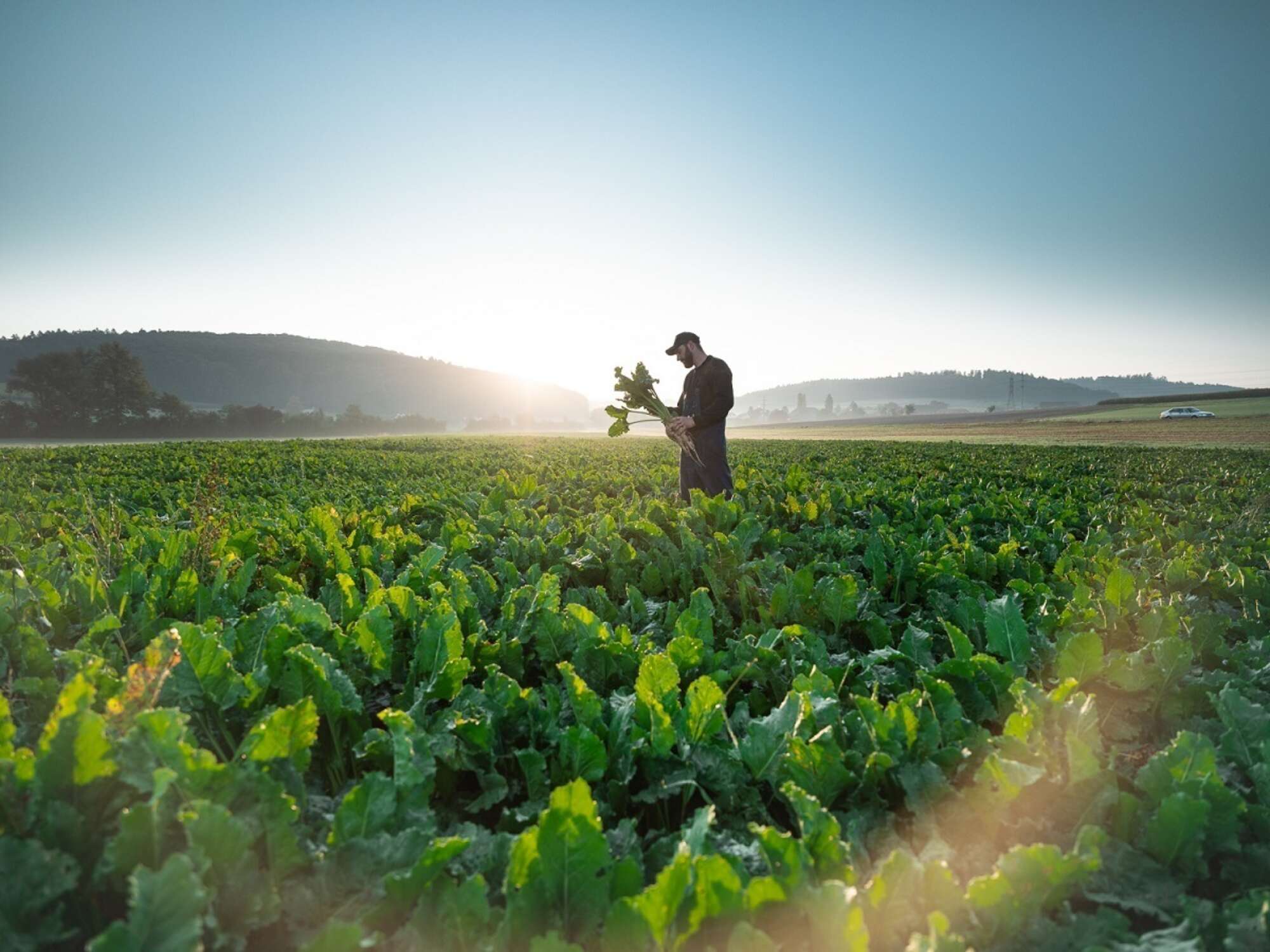 Nos autres matières premières
