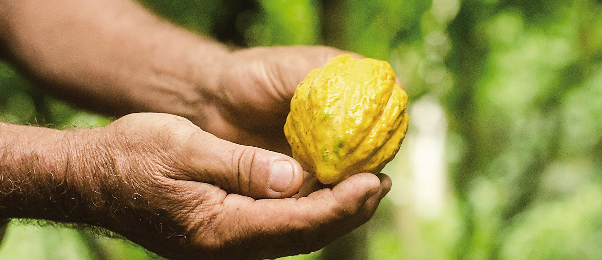 Bolivia 45% – 60h au Lait de Terroir