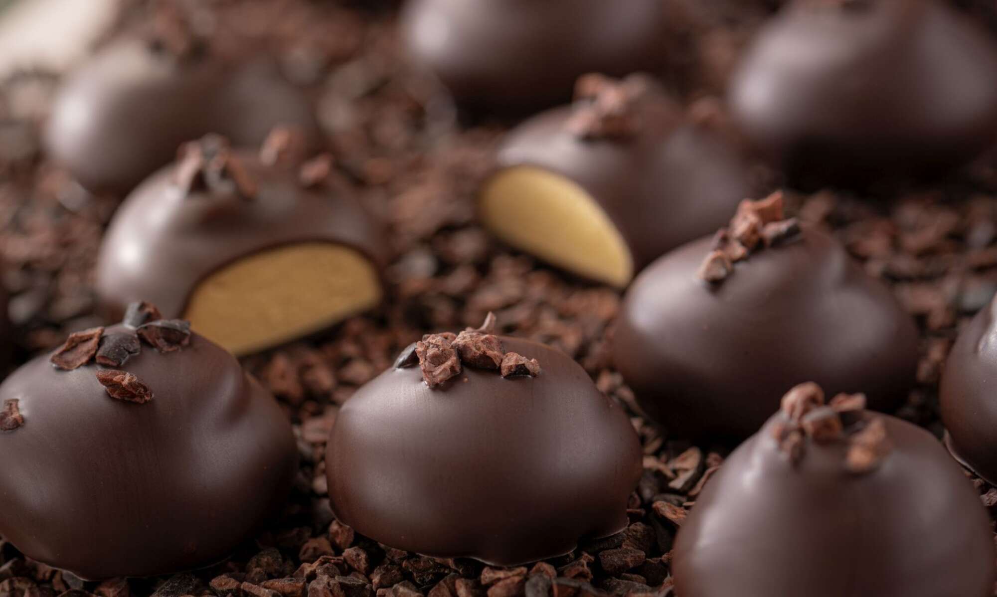 Message sent successfully