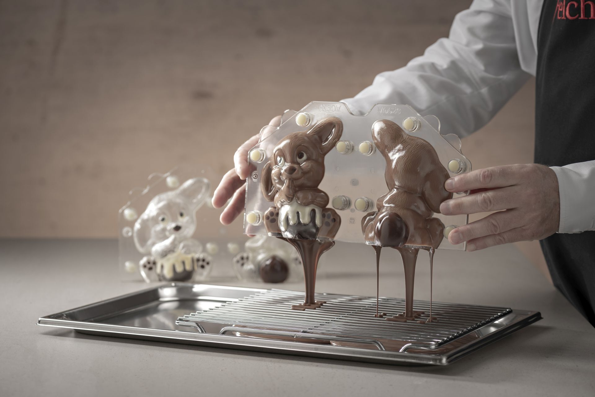 CS36 Maracaibo Criolait 38 dressiert in Hasengiessform 12