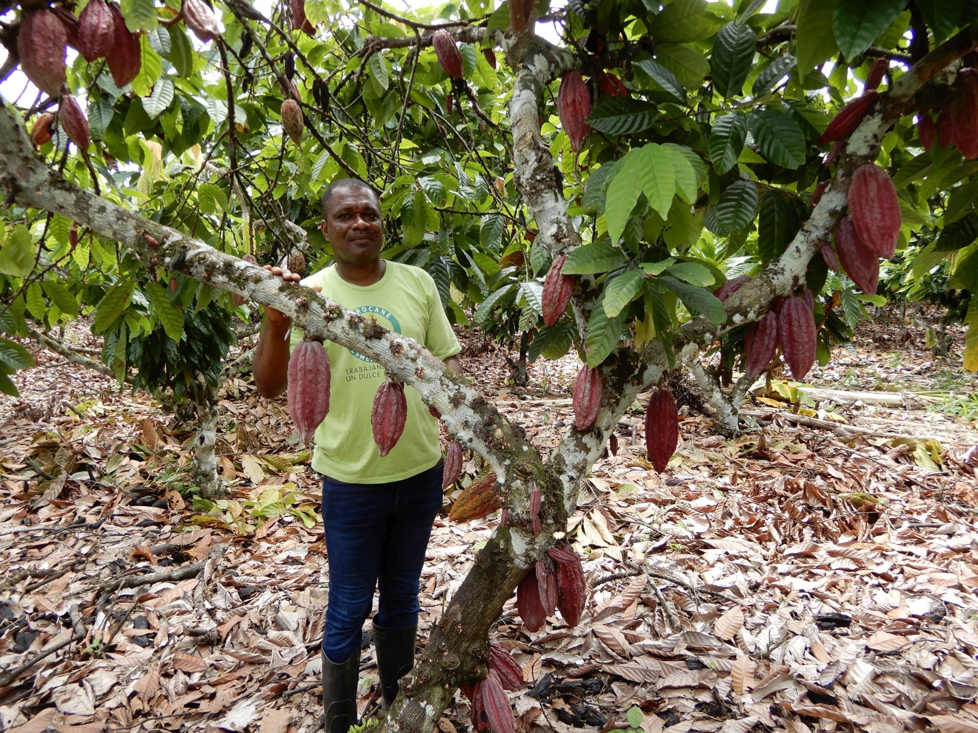 Ecuador Esmeraldas4 web