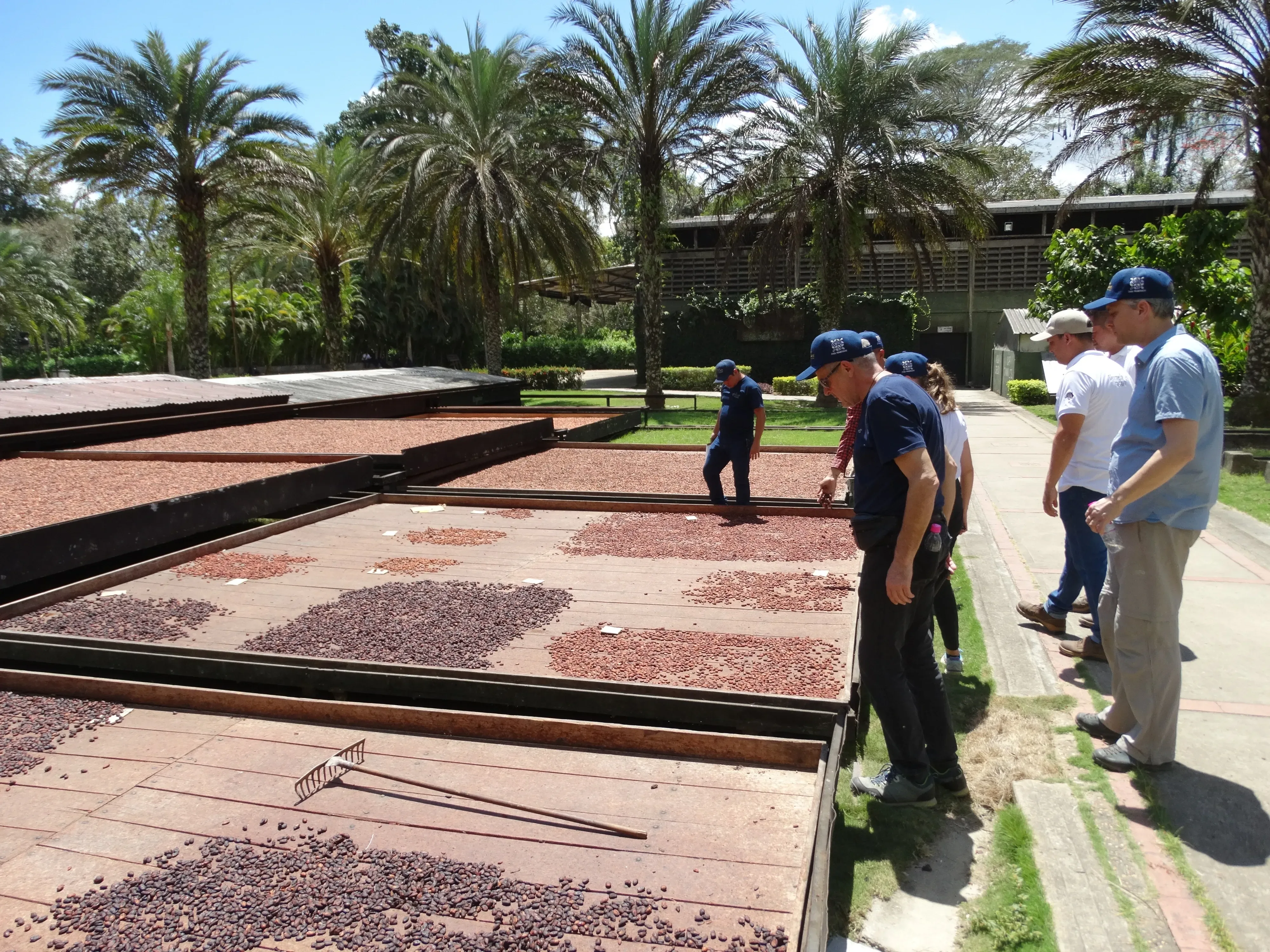 Berufsbilder 08 Einkauf